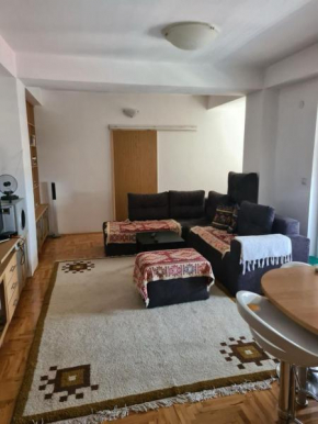 Apartment Turisticka- Daljan comfort apartment